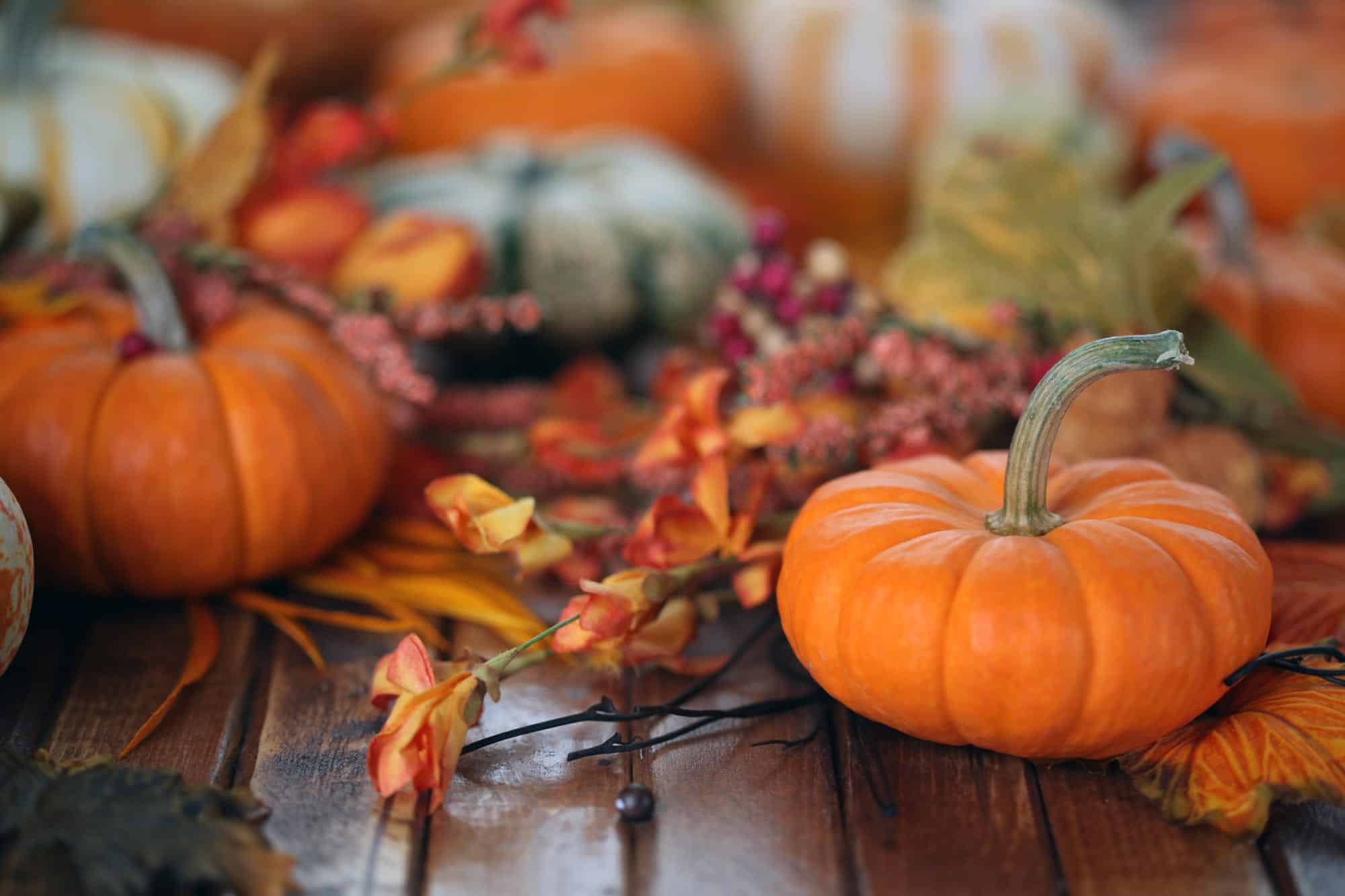 Holiday Pumpkin Spice